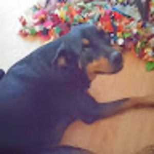 Meet your Posher, Erika